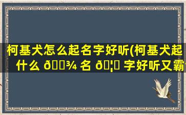 柯基犬怎么起名字好听(柯基犬起什么 🌾 名 🦉 字好听又霸气)